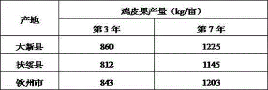 High-yield planting method for clausena lansium