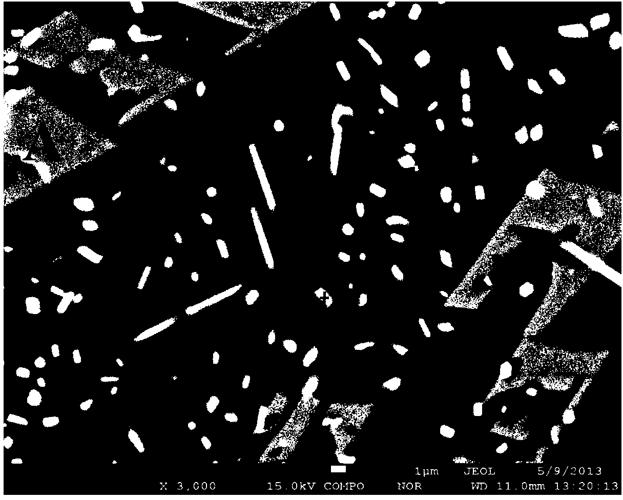 Beige tooth microcrystalline glass compounded by frits of wollastonite and apatite