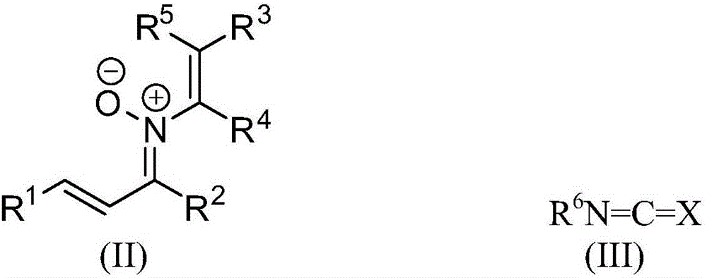 1-oxy-2,8-diazacyclononane derivatives and synthetic method thereof