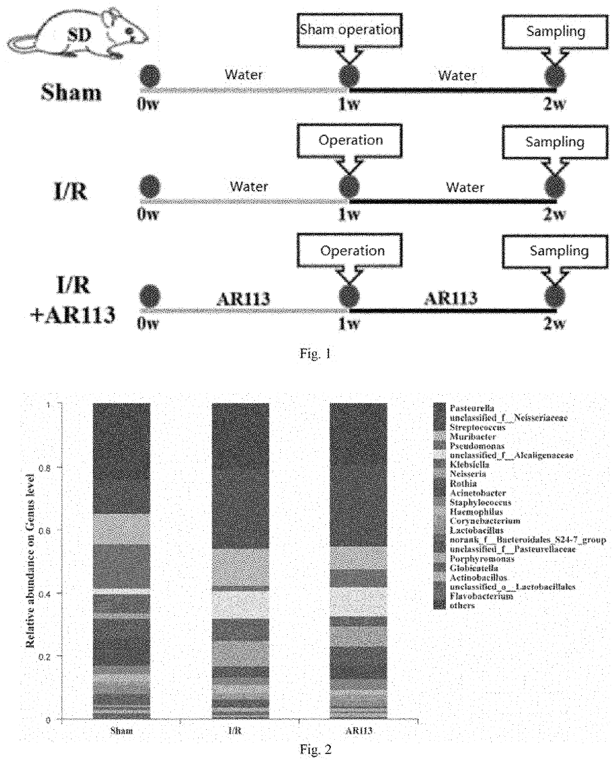 A lactobacillus plantarum strain ar113 with protection effect on apoplexy