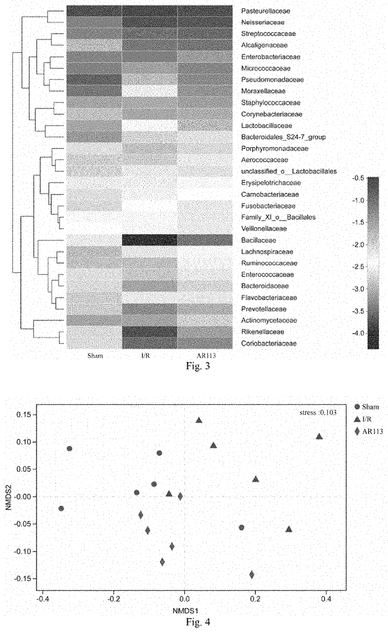 A lactobacillus plantarum strain ar113 with protection effect on apoplexy