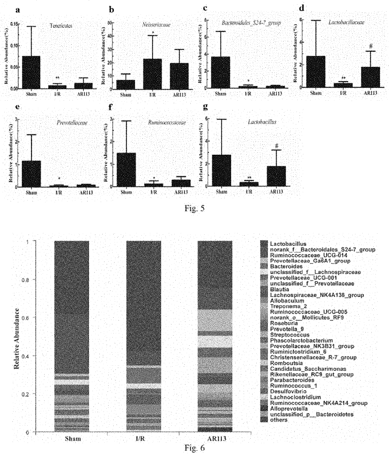 A lactobacillus plantarum strain ar113 with protection effect on apoplexy