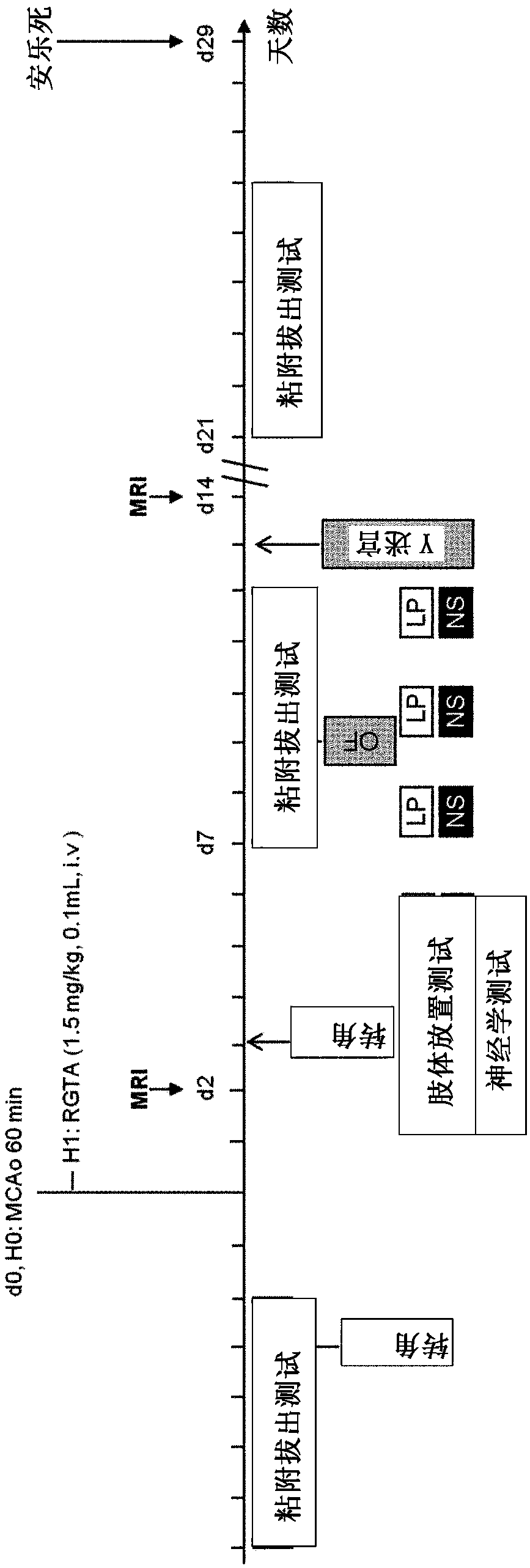 Composition for treating brain lesions