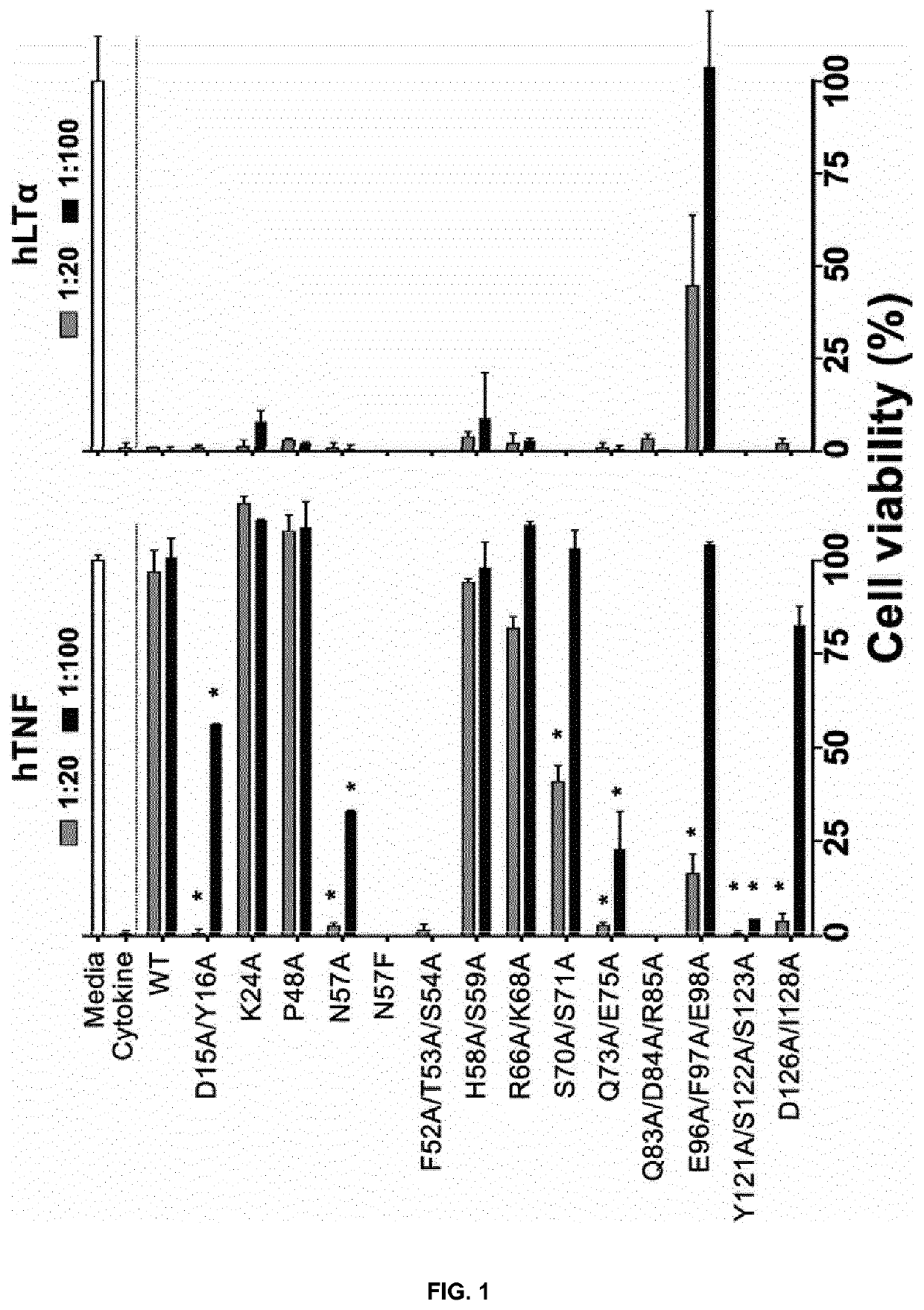 Etanercept variants with improved therapeutical effect