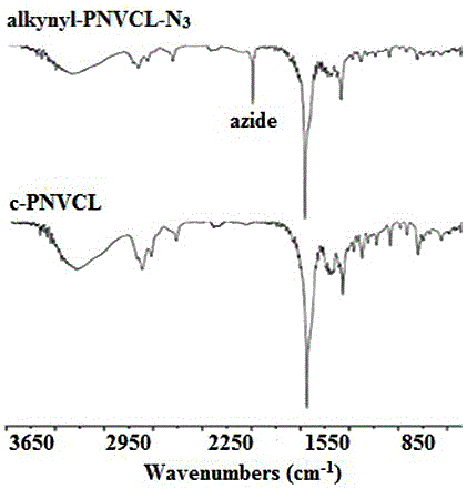 Cyclic poly(n-vinyl caprolactam) and its preparation method and application