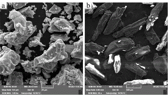 Preparation method of titanium foam used for cortical bone