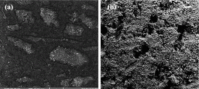 Preparation method of titanium foam used for cortical bone