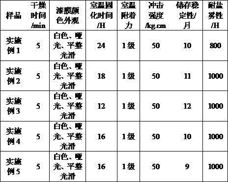 Anti-corrosion and anti-radiation coating and preparation method thereof