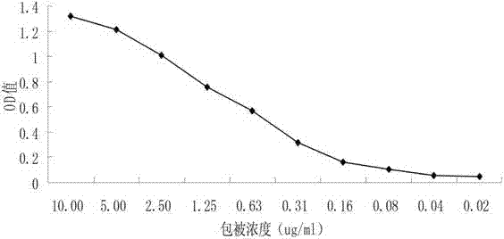 Recombinant antigen protein for detecting yellow fever virus antibody, kit and application of recombinant antigen protein