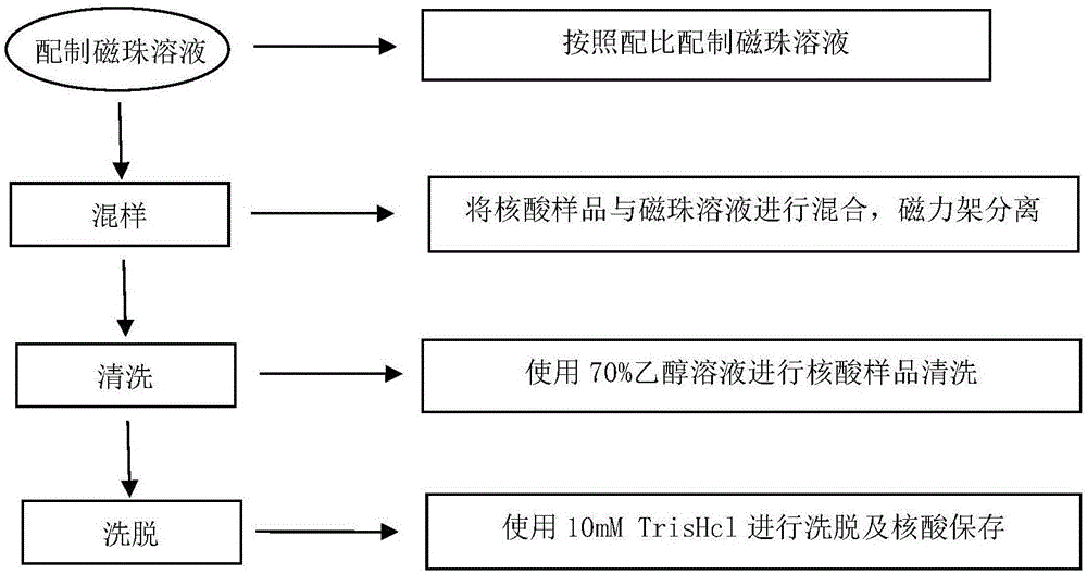 Magnetic bead composition for improving nucleic acid extraction rate and application of magnetic bead composition