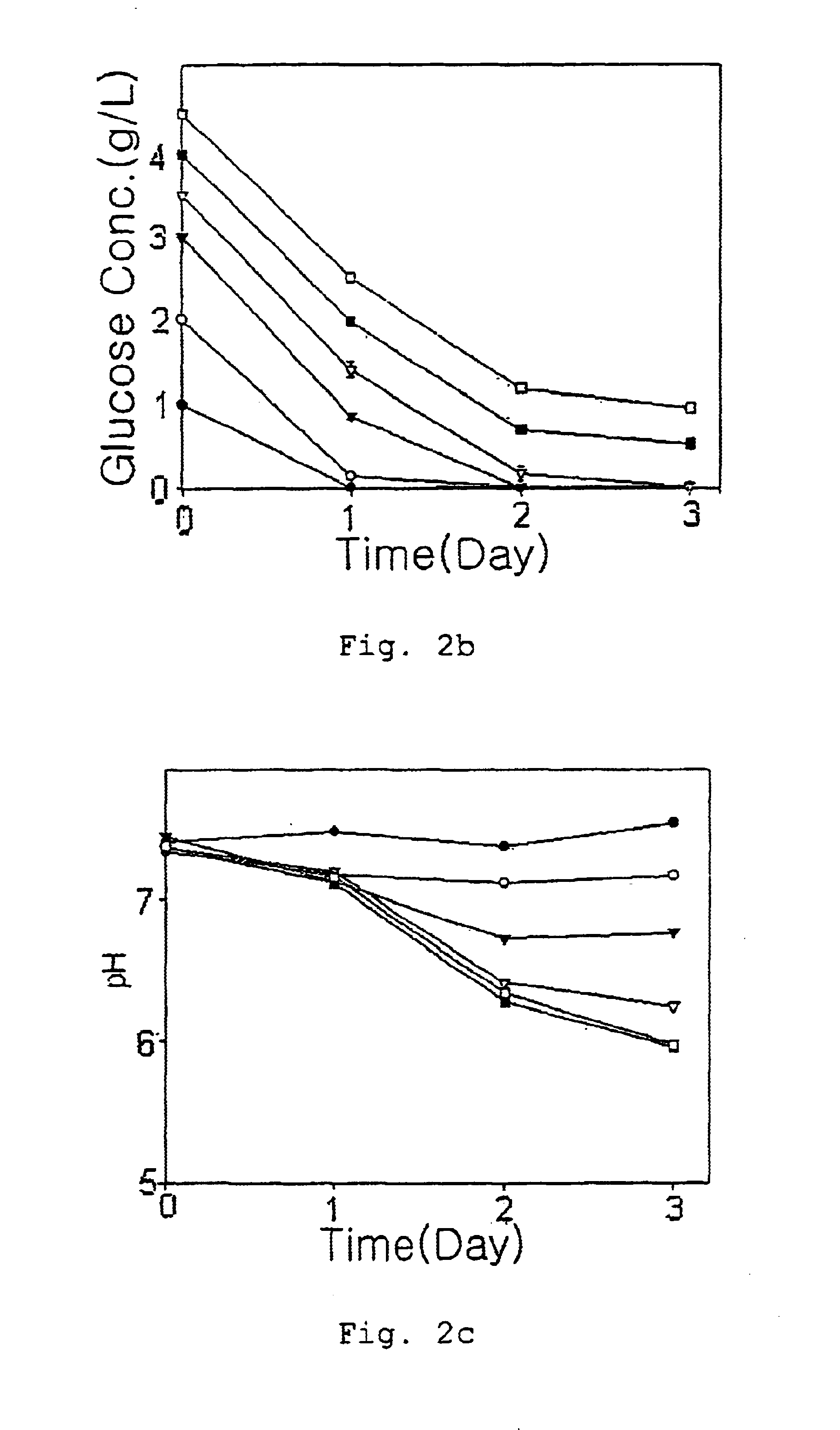 Therapeutic agent for ischemia which inhibits apoptosis under ischemic condition