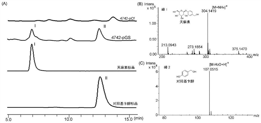 Recombinant saccharomyces cerevisiae for producing gastrodin by using glucose and application of recombinant saccharomyces cerevisiae