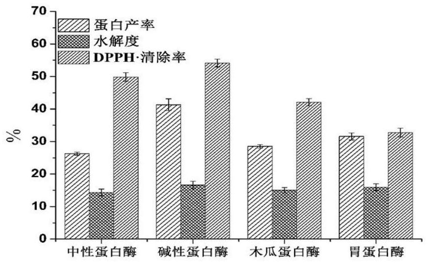 Application of horse bone marrow enzymolysis peptide in preparation of preparation for preventing osteoporosis