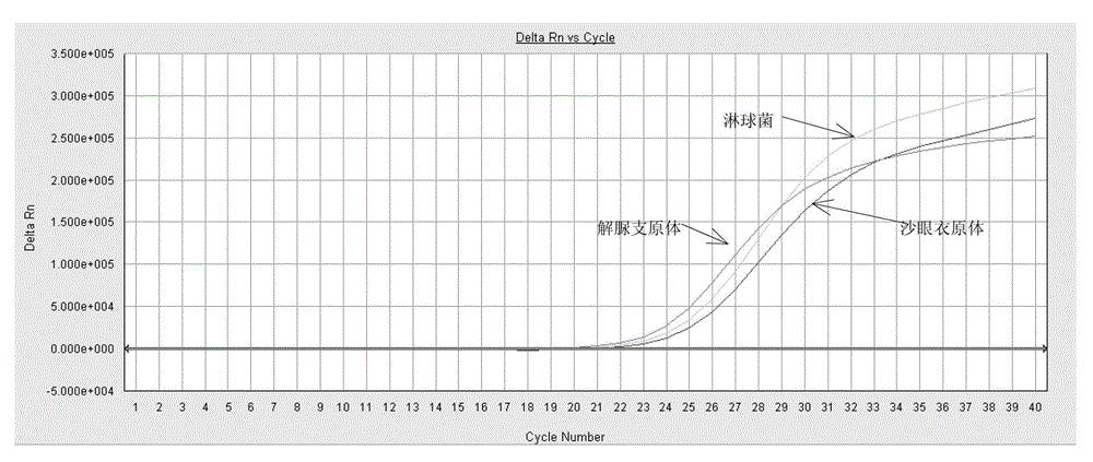 Triple nucleic acid detection kit for neisseria gonorrhoeae / ureaplasma urealyticum/ chlamydia trachomatis