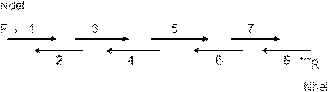 Link application of protein tag