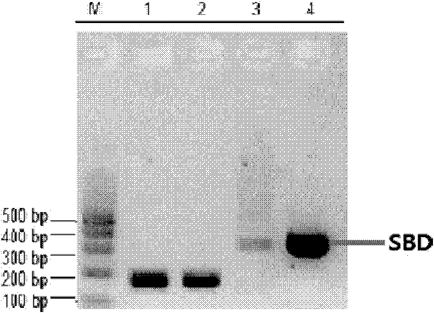 Link application of protein tag