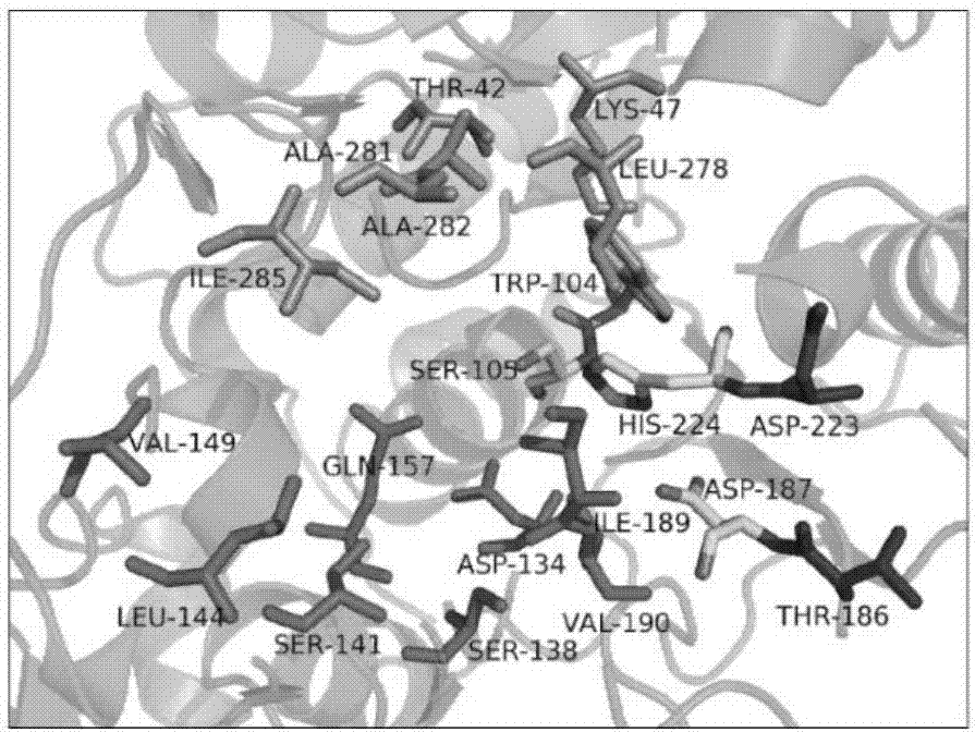 Candida antarctica lipase B mutant as well as transformation method and application thereof