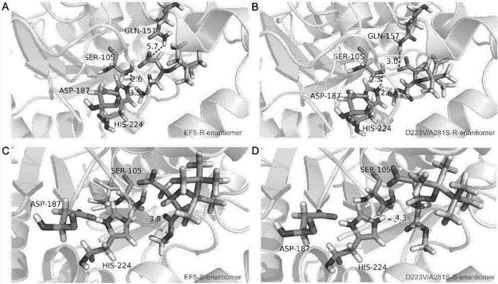 Candida antarctica lipase B mutant as well as transformation method and application thereof