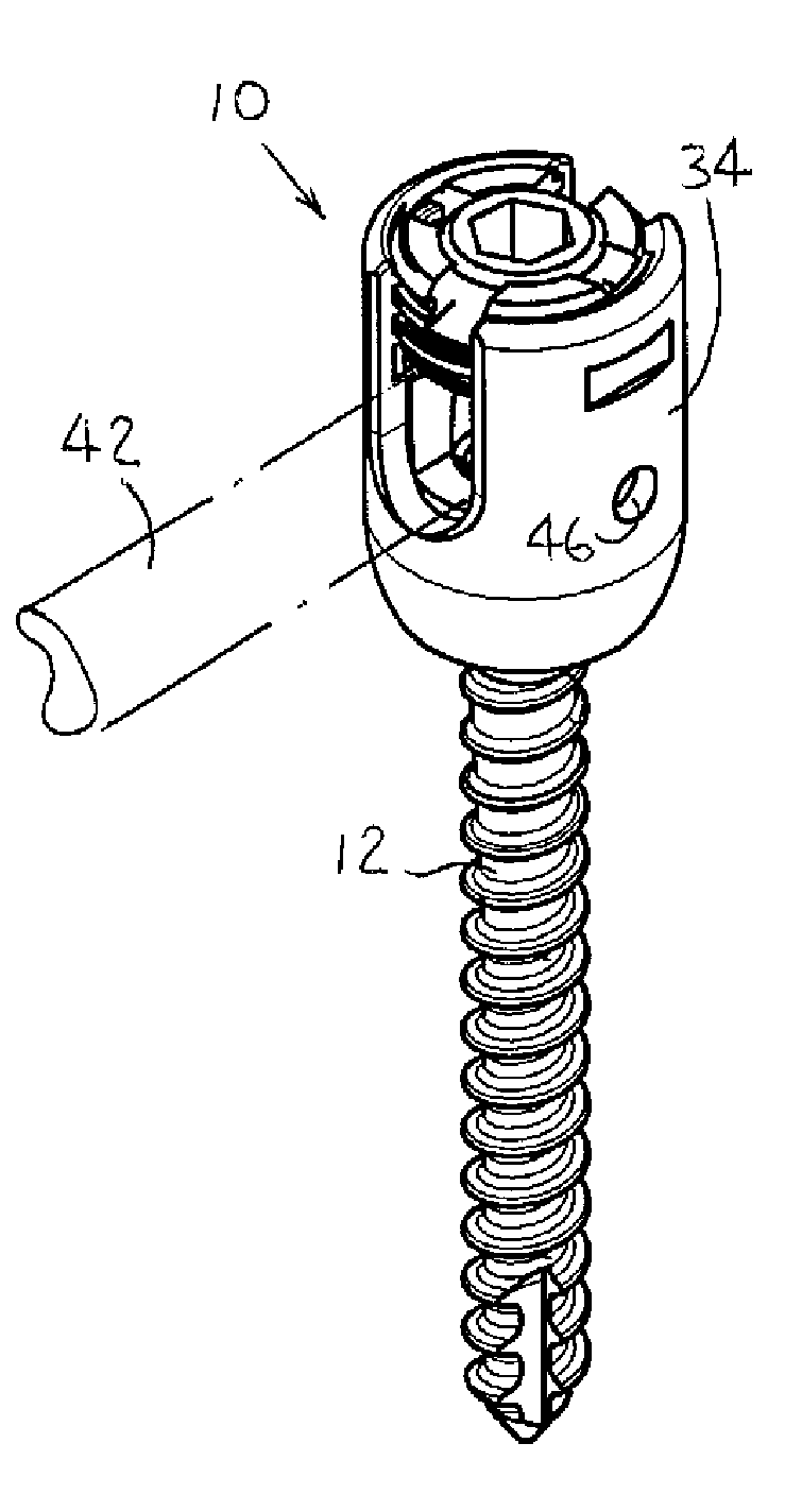 Double collet connector assembly for bone anchoring element