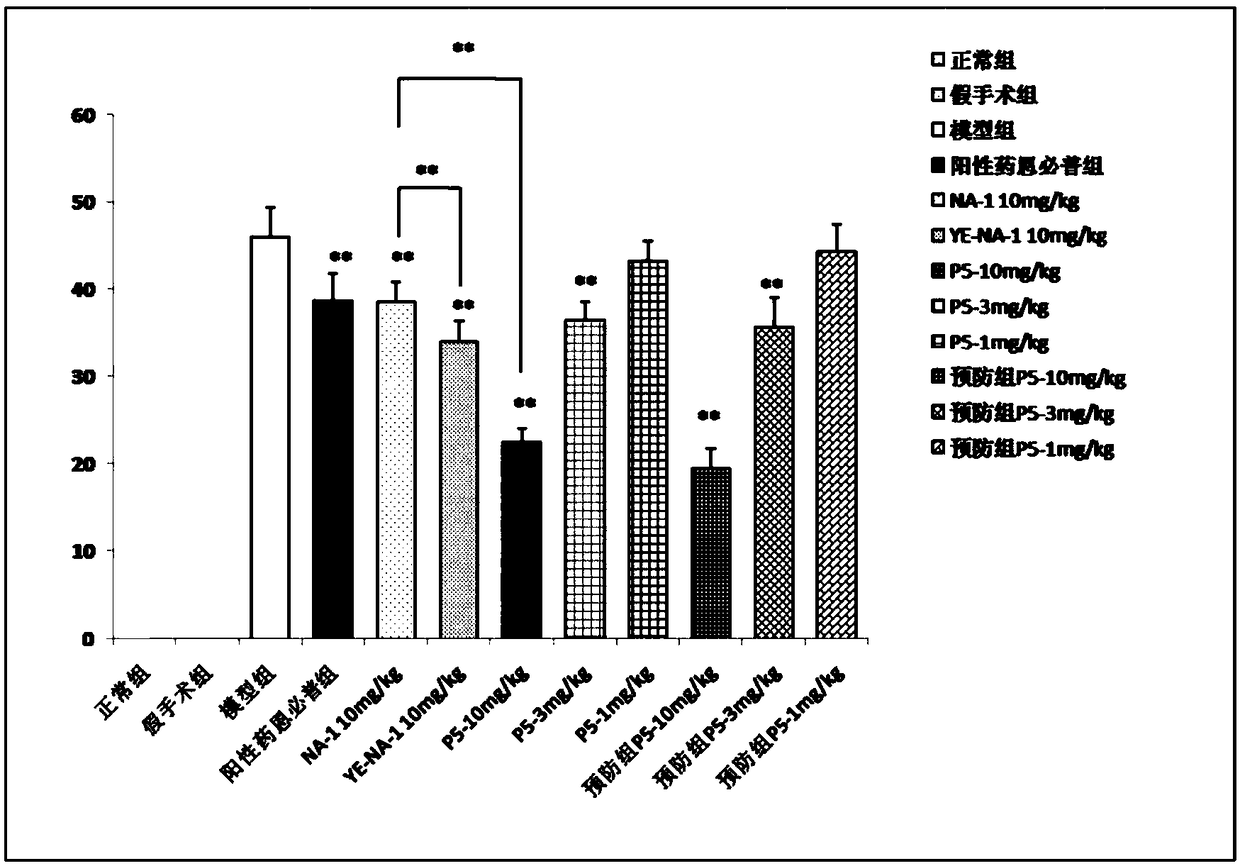 Therapeutic Peptides for Excitotoxicity-Related Injuries