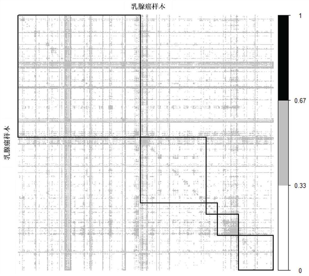 Single-sample ceRNA network identification method and device, electronic equipment and storage medium