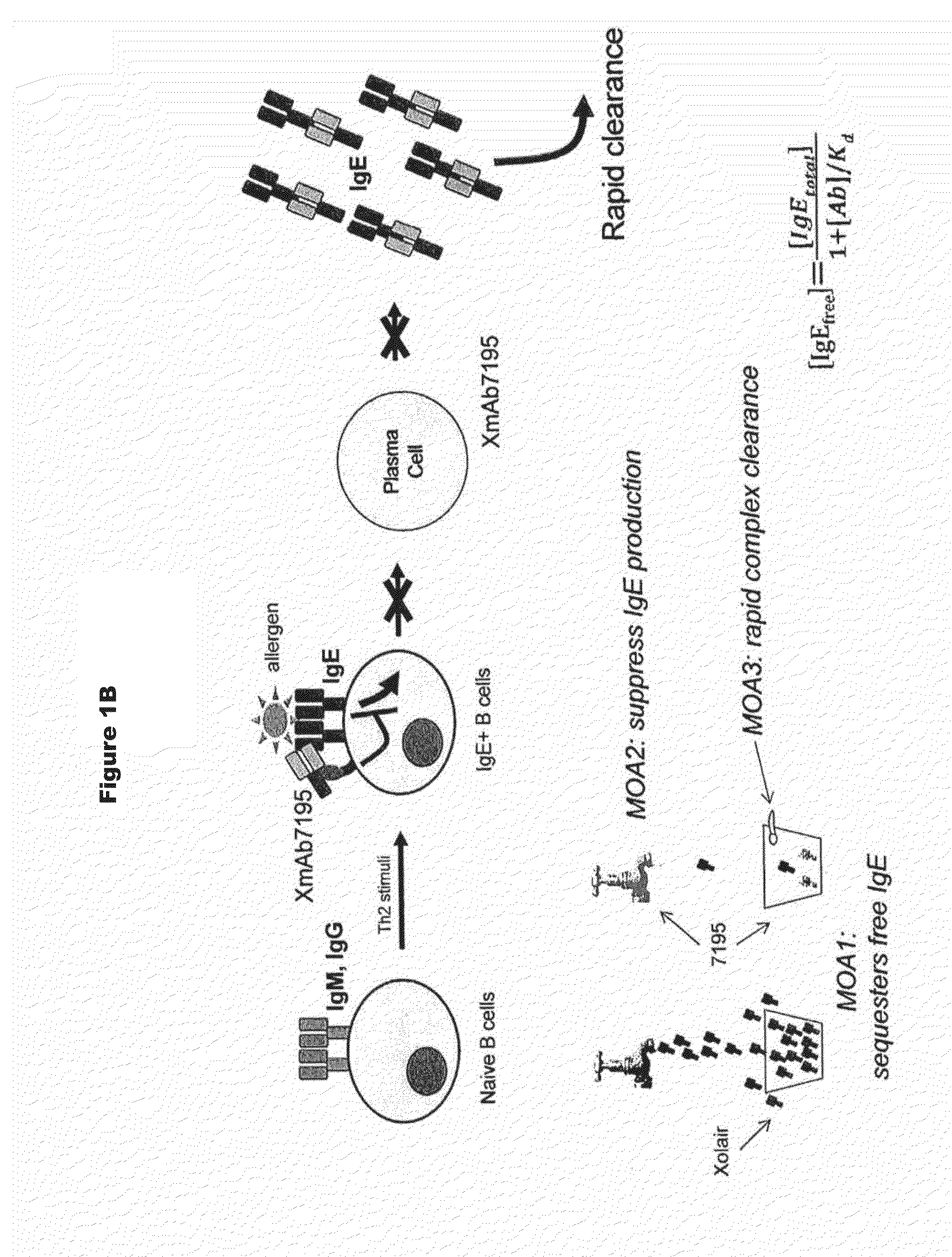 Rapid clearance of antigen complexes using novel antibodies