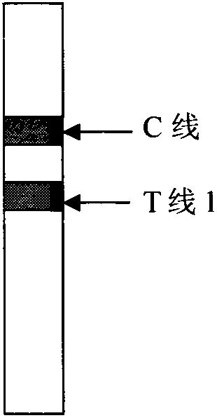 Method for semi-quantitatively diagnosing alpha-fetoprotein by using double-indicatrix immunochromatography