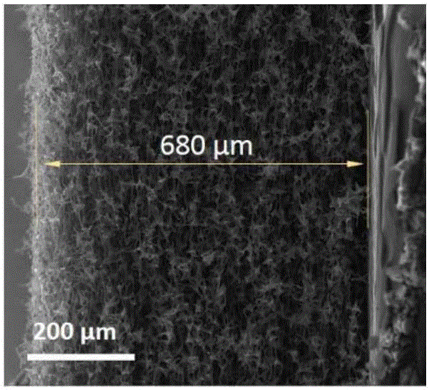 Nitrogen-doped carbon flexible paper and preparing method and application thereof