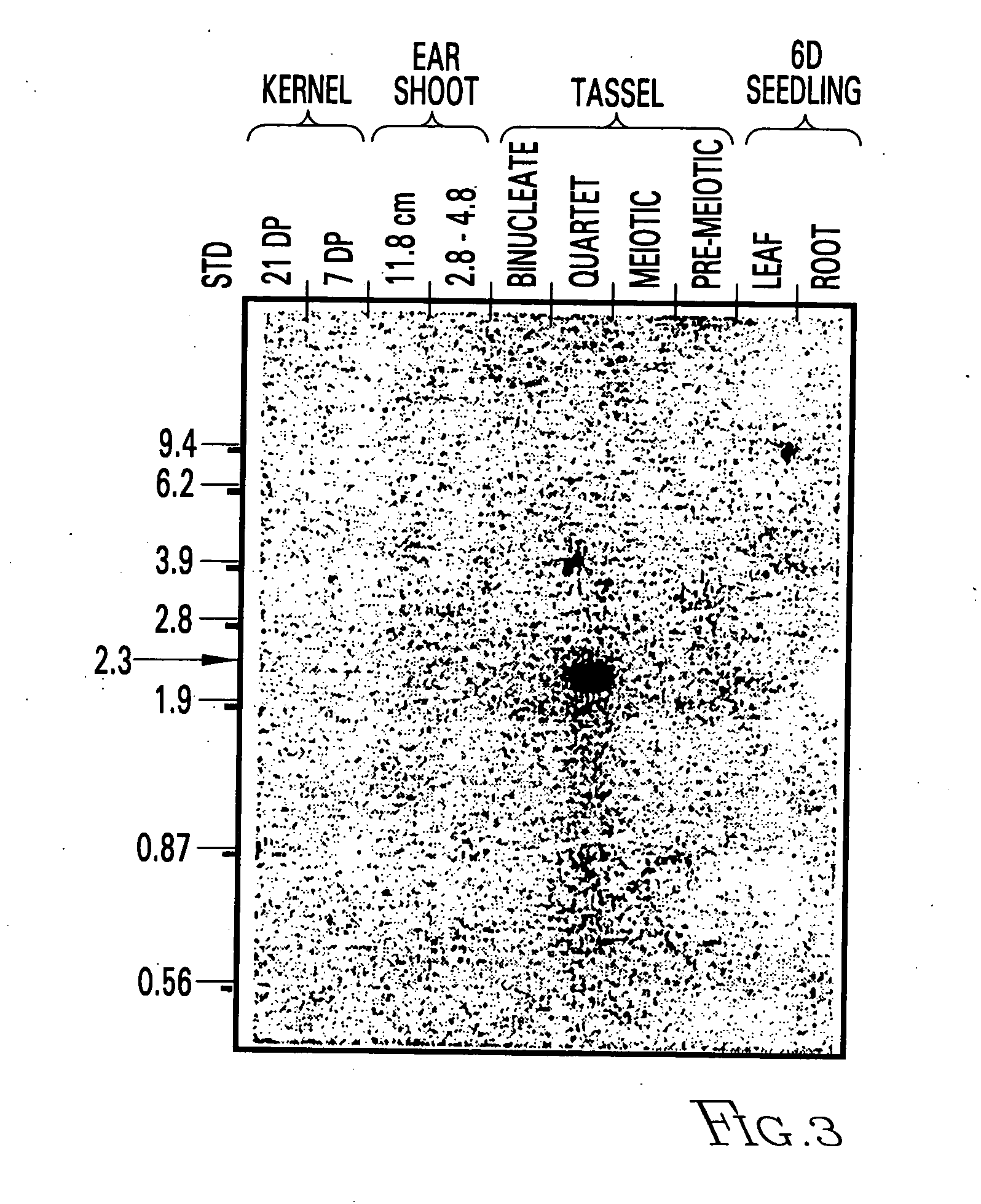 Nucleotide sequences mediating male fertility and method of using same