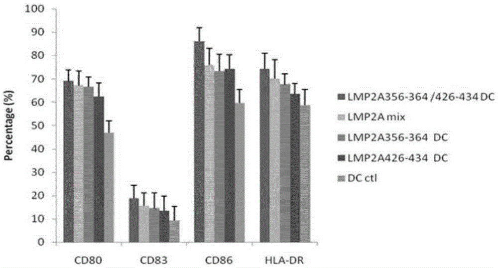 EBV (Epstein-Barr Virus) LMP2A (Latent Membrane Protein 2A) multi-epitope peptide for immunological therapy and application of EBV LMP2A multi-epitope peptide