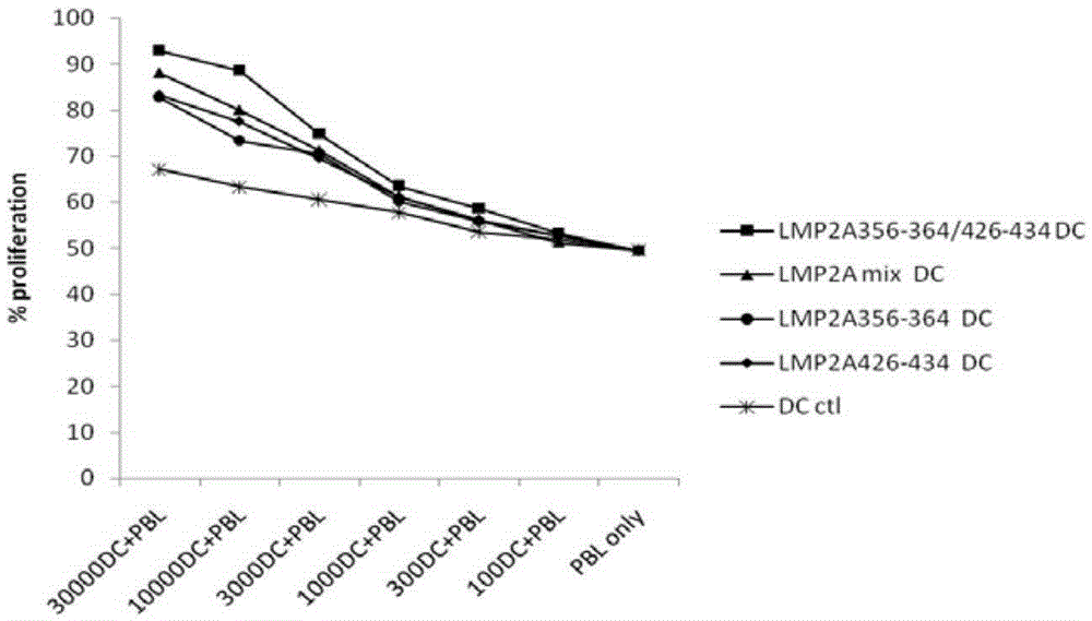 EBV (Epstein-Barr Virus) LMP2A (Latent Membrane Protein 2A) multi-epitope peptide for immunological therapy and application of EBV LMP2A multi-epitope peptide