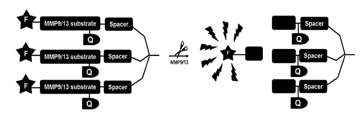 Optical probes for matrix metalloproteinases