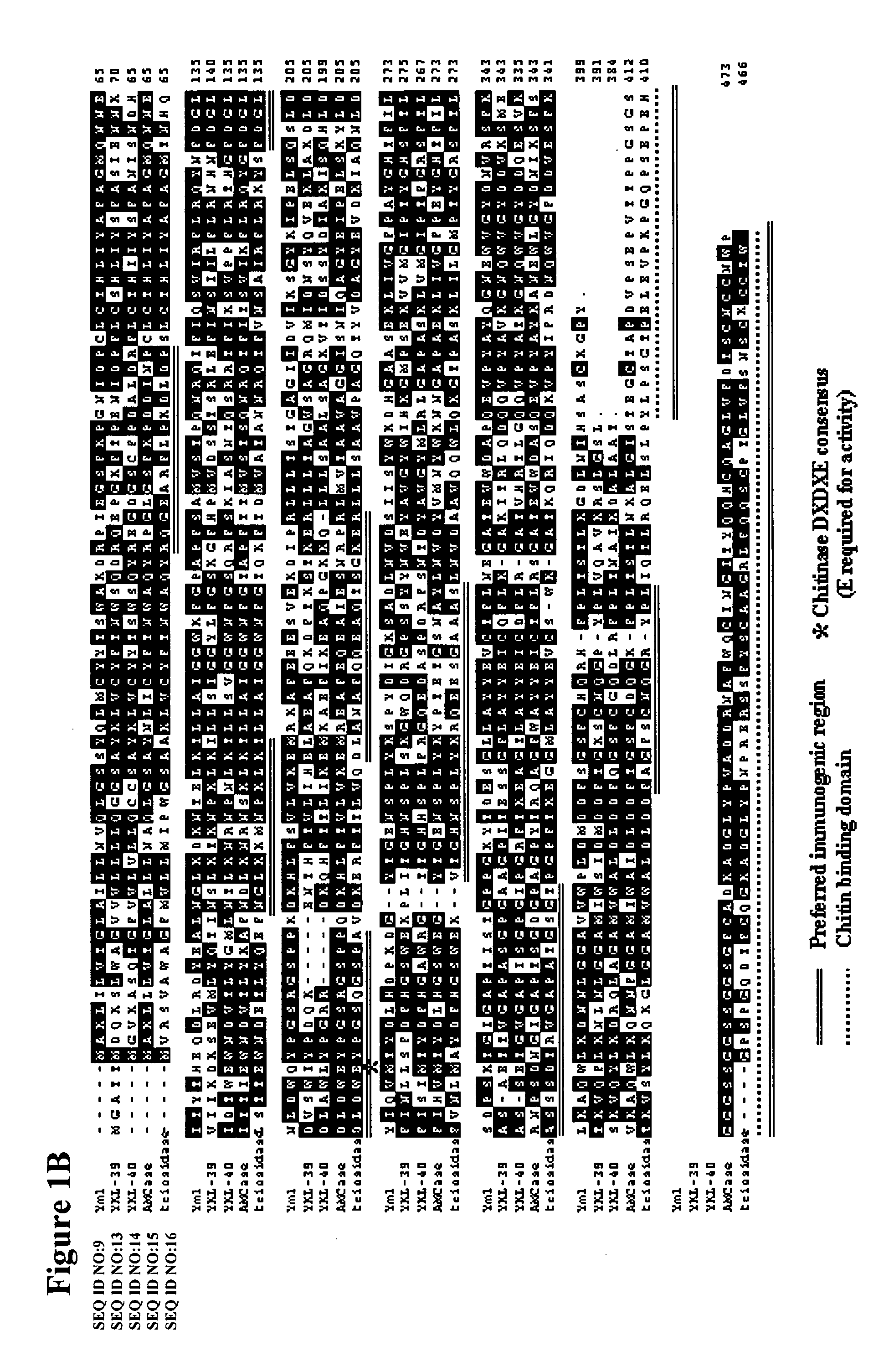 Methods and compositions relating to chitinases and chitinase-like molecules and modulation of osteoclasts