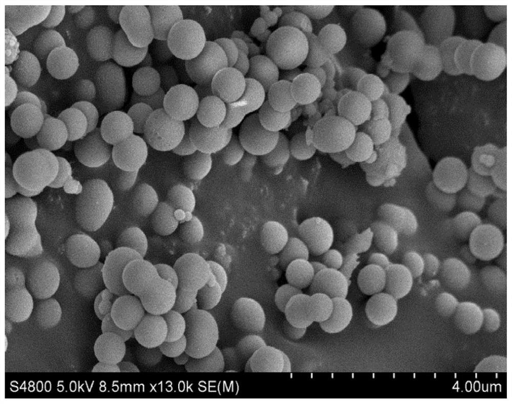 A preparation method and application of polypeptide-mediated biomimetic silica nanoparticles