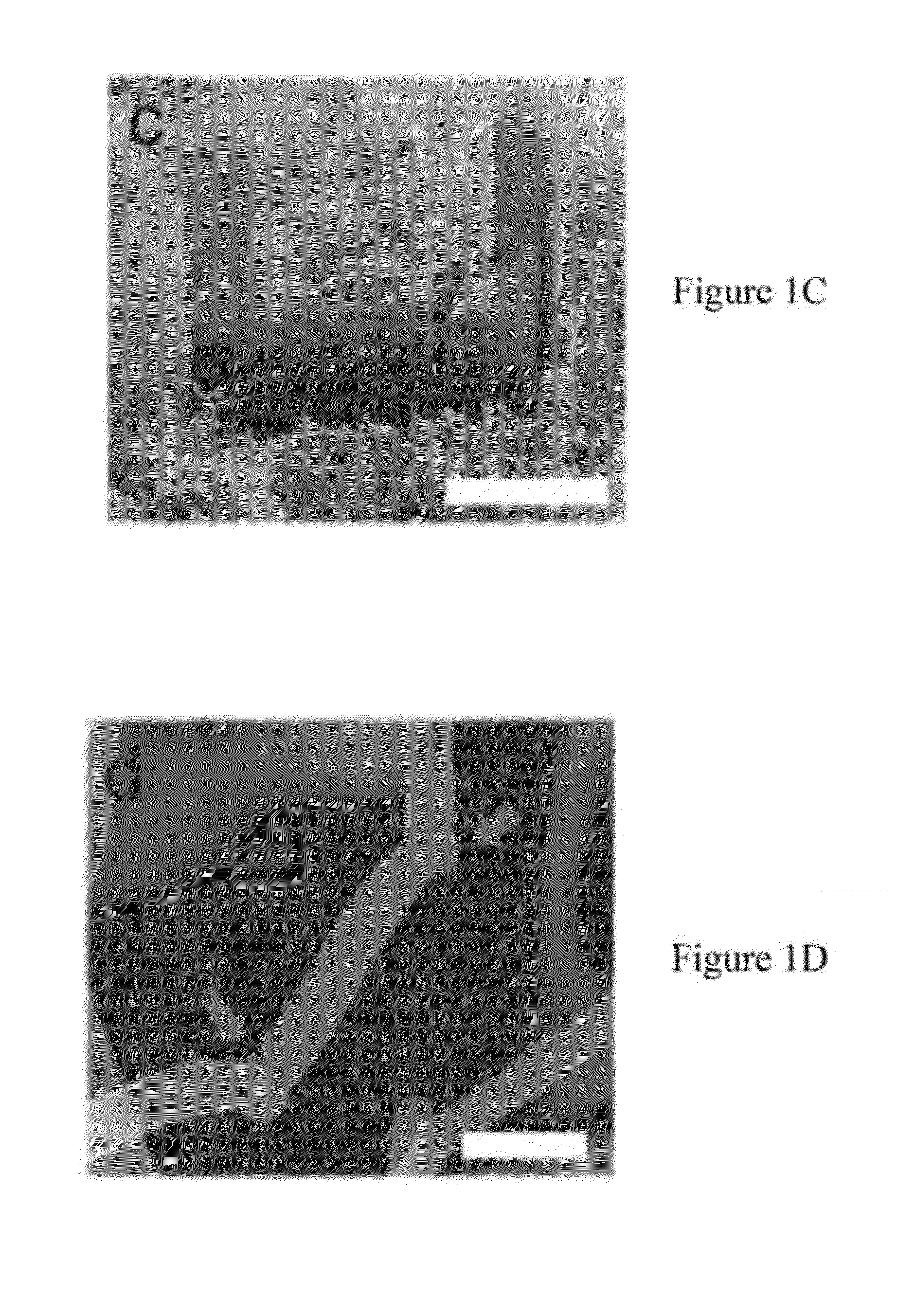 Methods of synthesizing three-dimensional heteroatom-doped carbon nanotube macro materials and compositions thereof