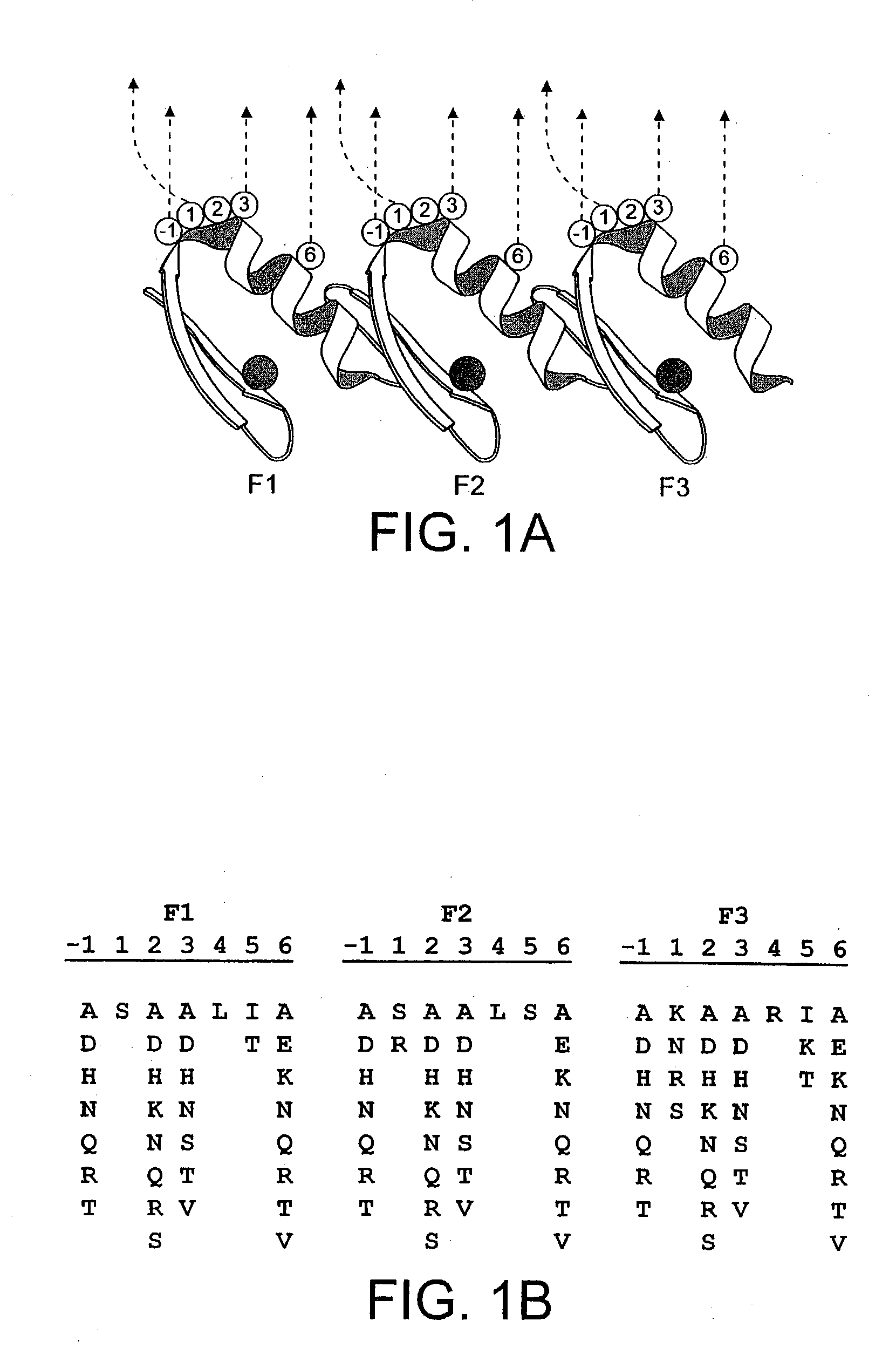 Methods for modulating telomerase activity