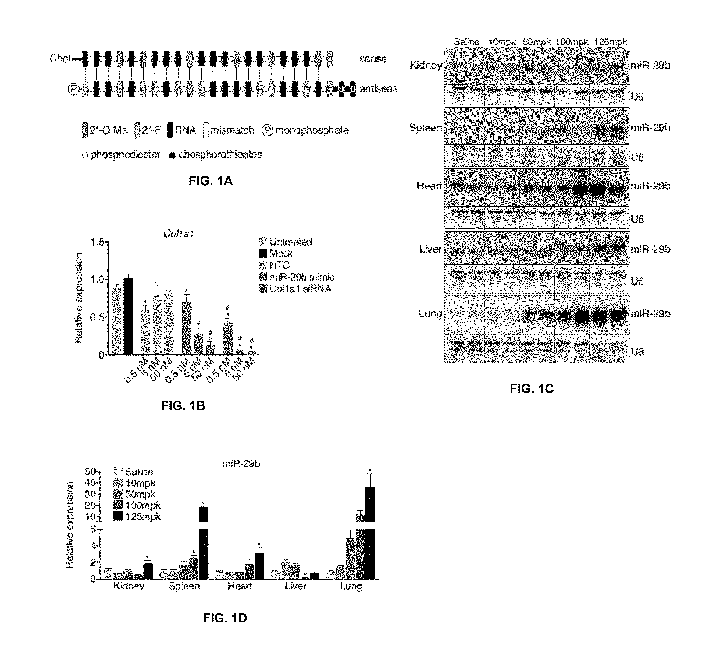 miR-29 Mimics and Uses Thereof