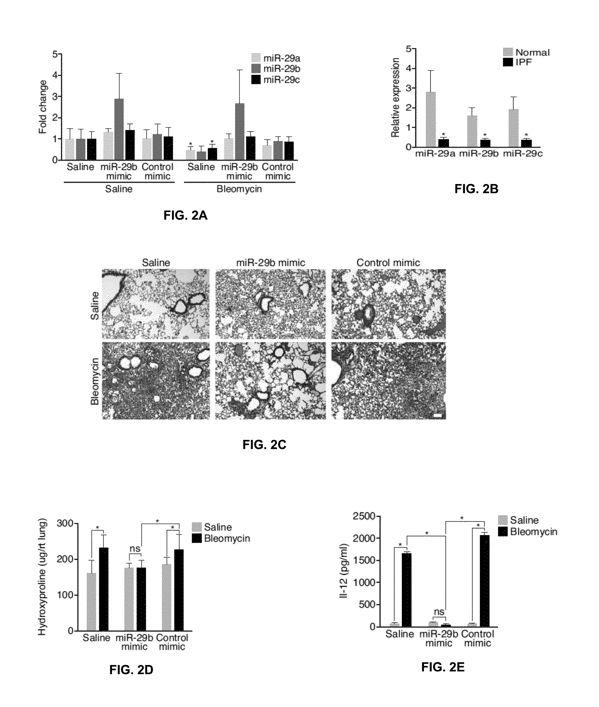 miR-29 Mimics and Uses Thereof