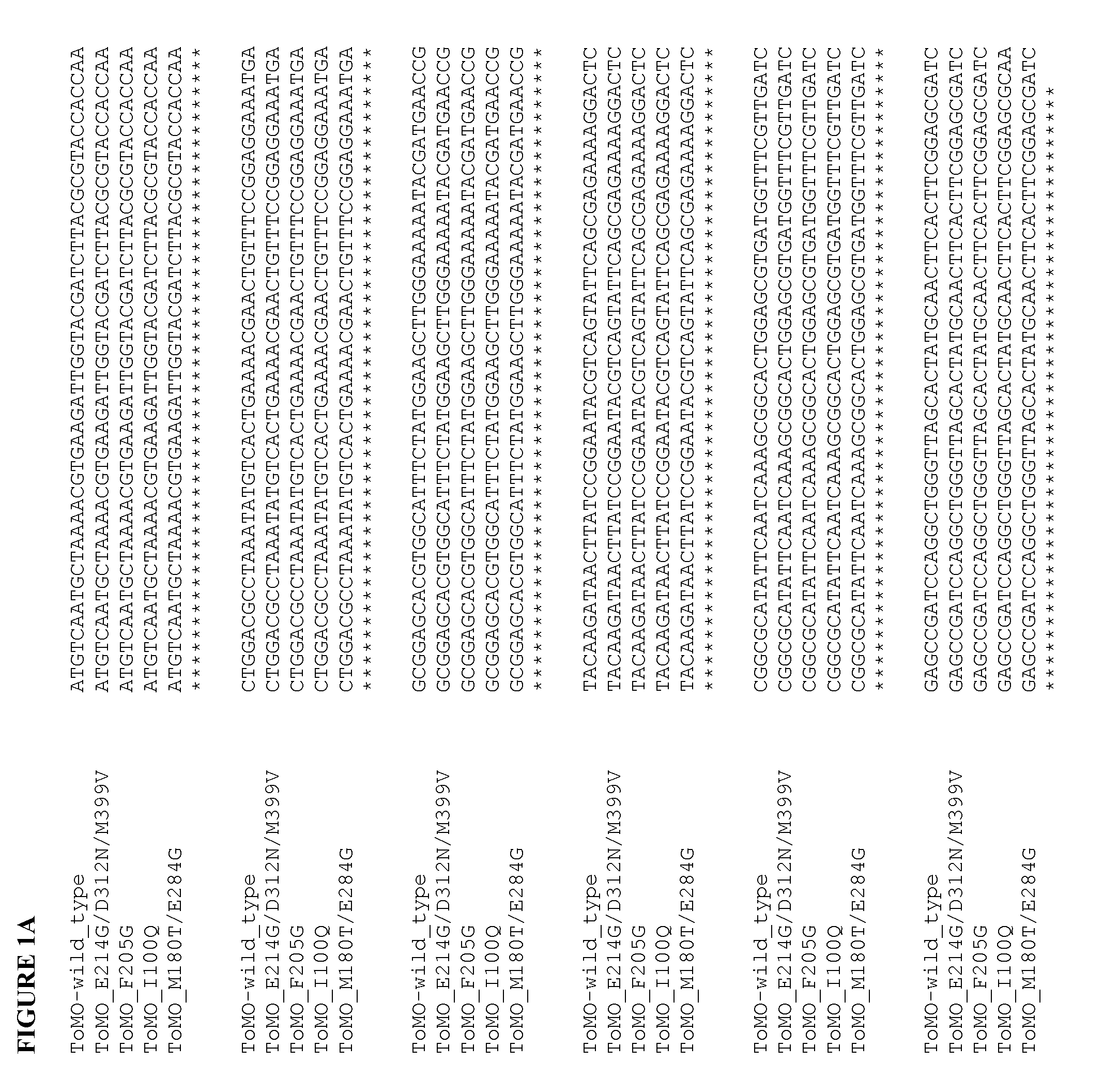 Directed evolution of recombinant monooxygenase nucleic acids and related polypeptides and methods of use