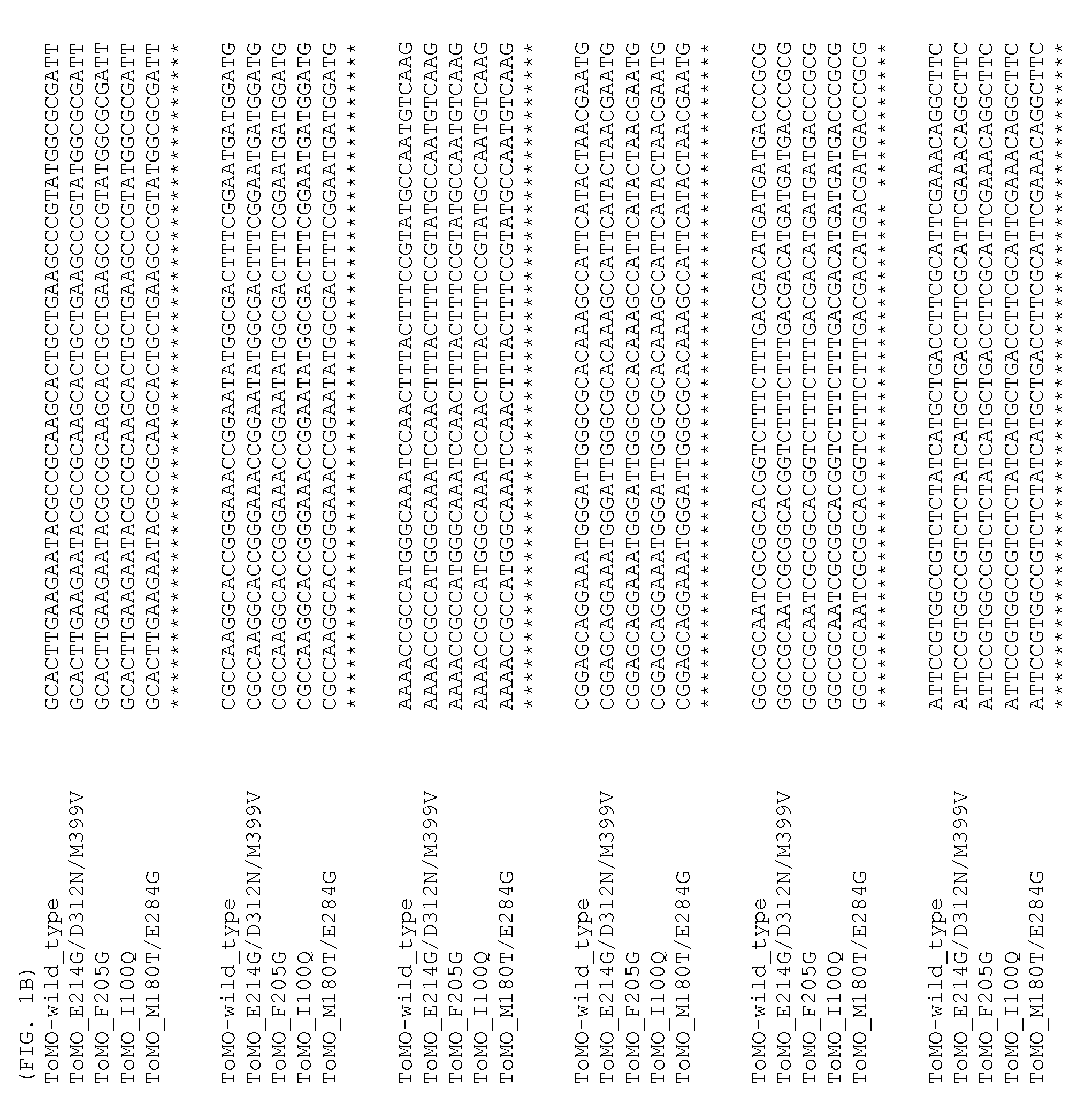 Directed evolution of recombinant monooxygenase nucleic acids and related polypeptides and methods of use