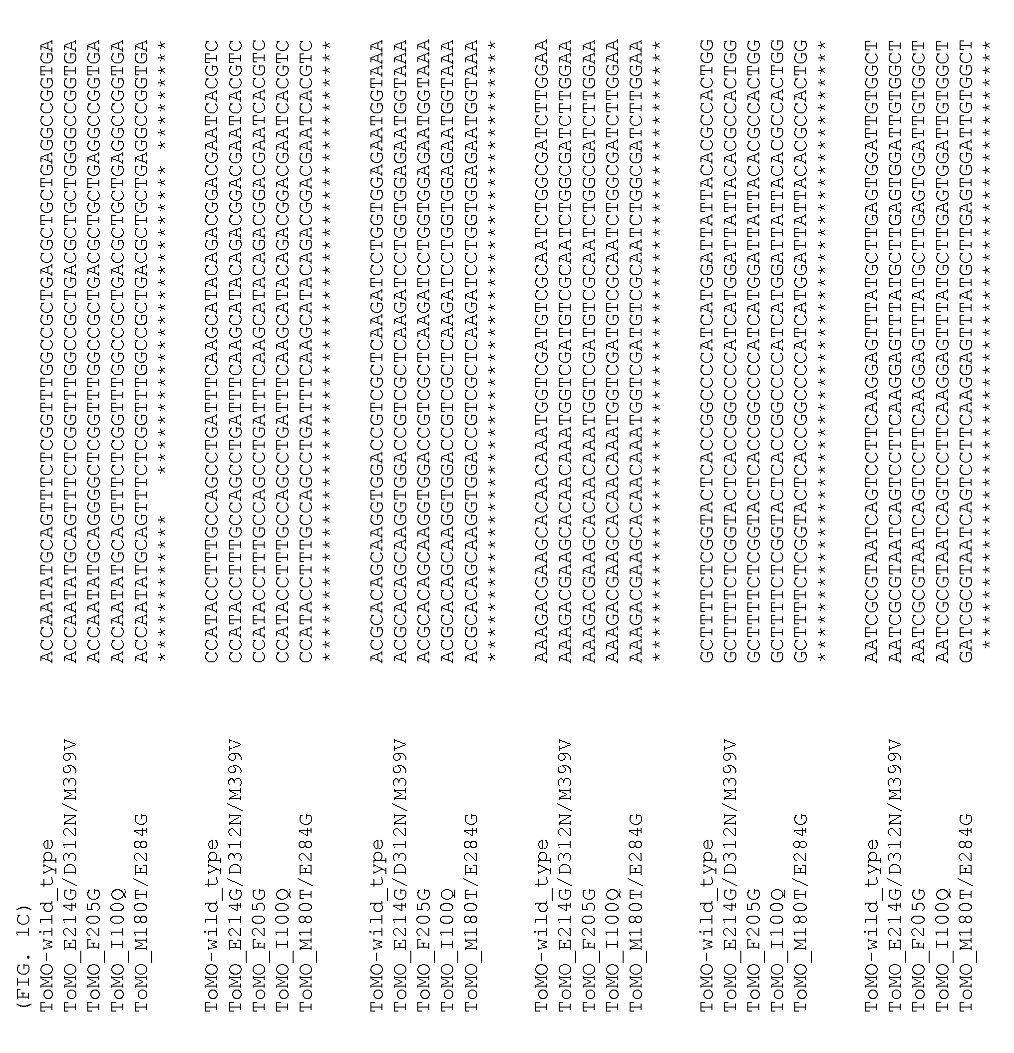 Directed evolution of recombinant monooxygenase nucleic acids and related polypeptides and methods of use