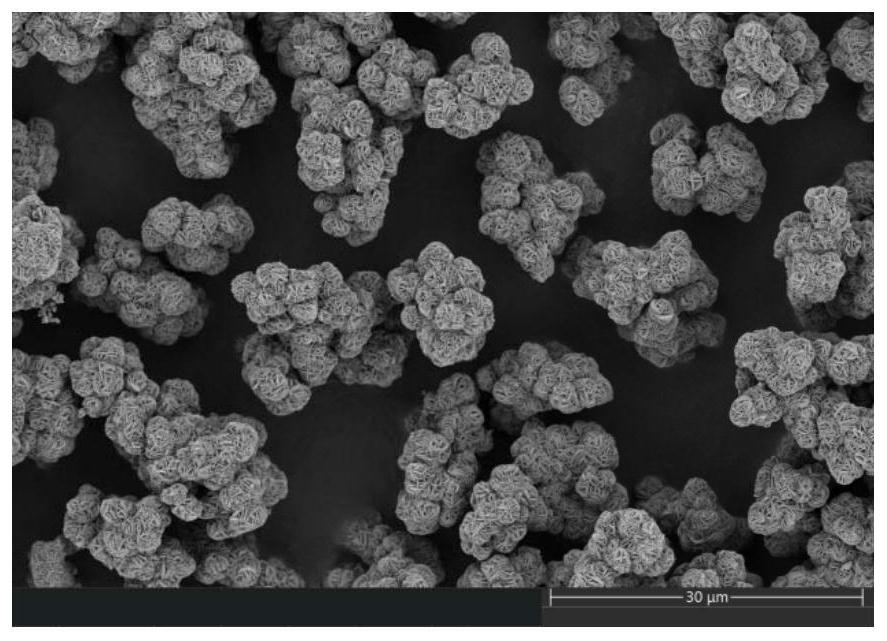 Iron-nickel alloy resource recycling method and application