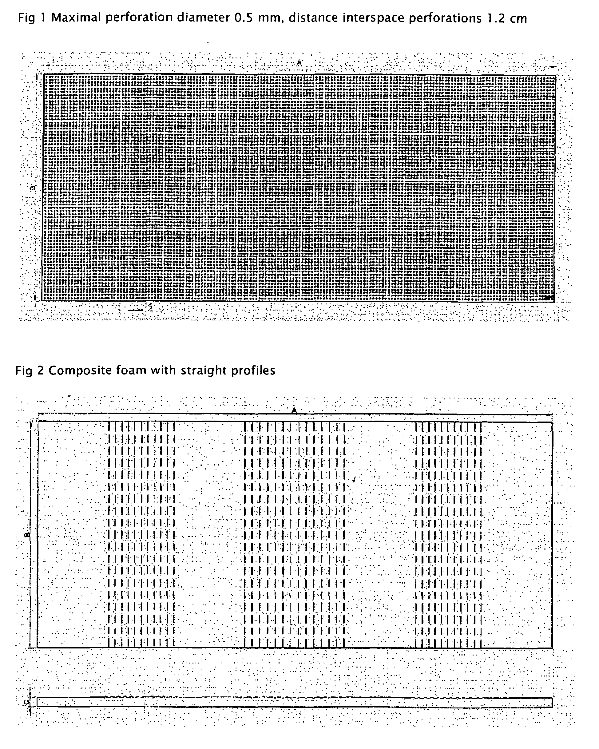 Latex Based Composite Foams