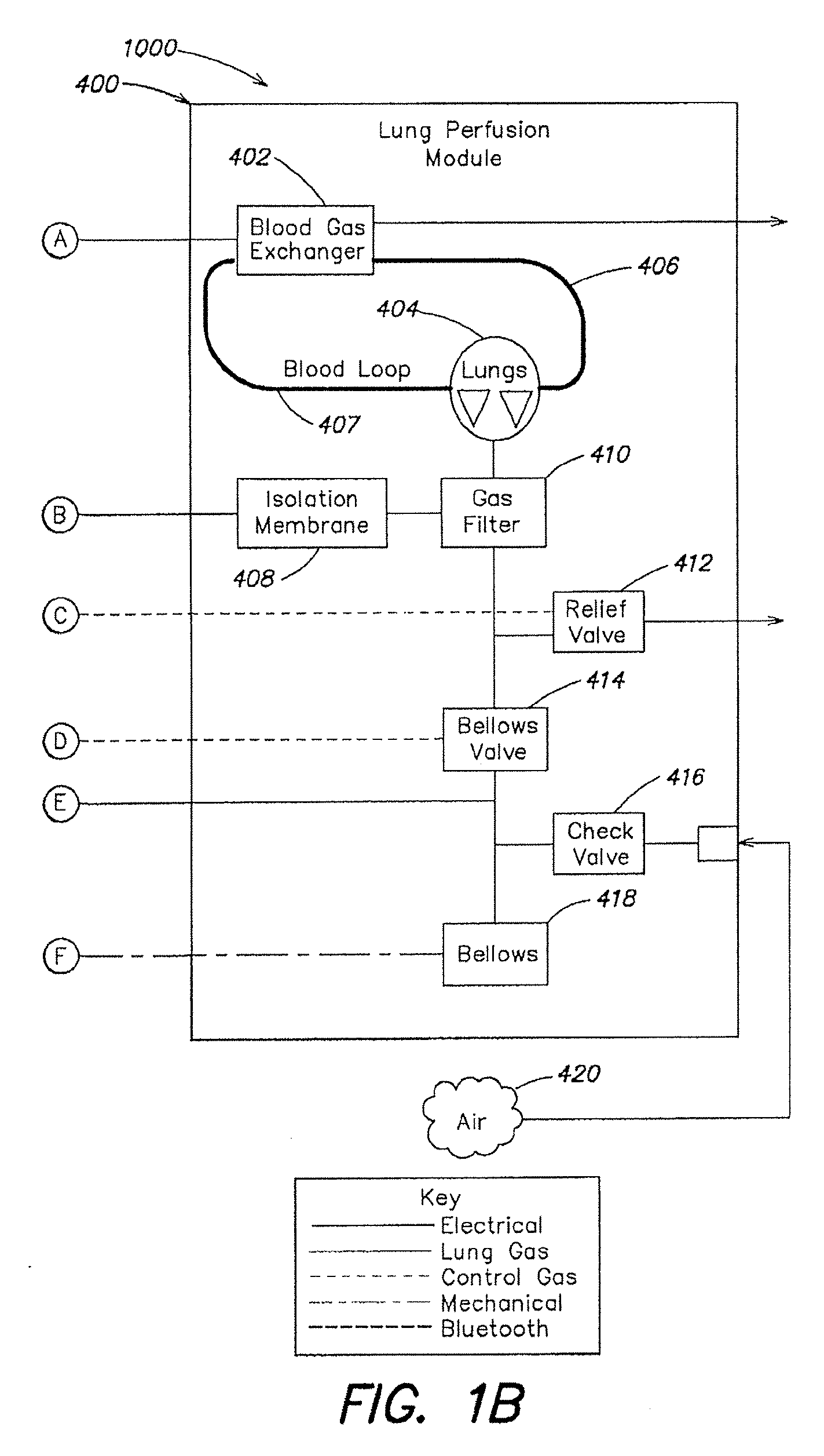 Systems and methods for ex vivo lung care