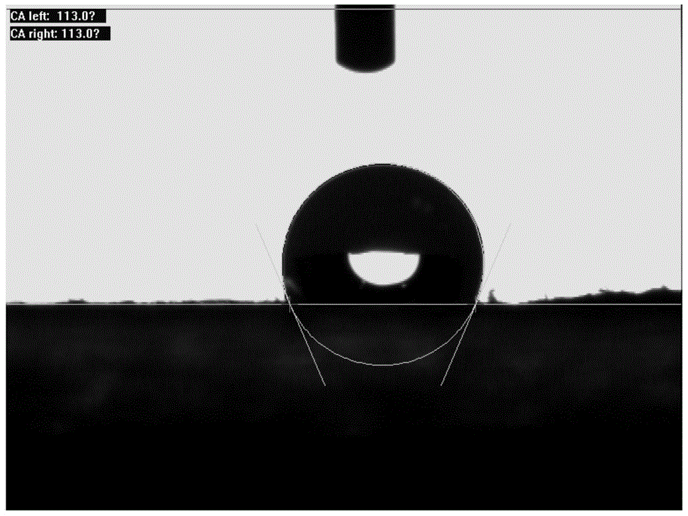 A kind of plant fiber and pha composite oil-absorbing paper and preparation method thereof