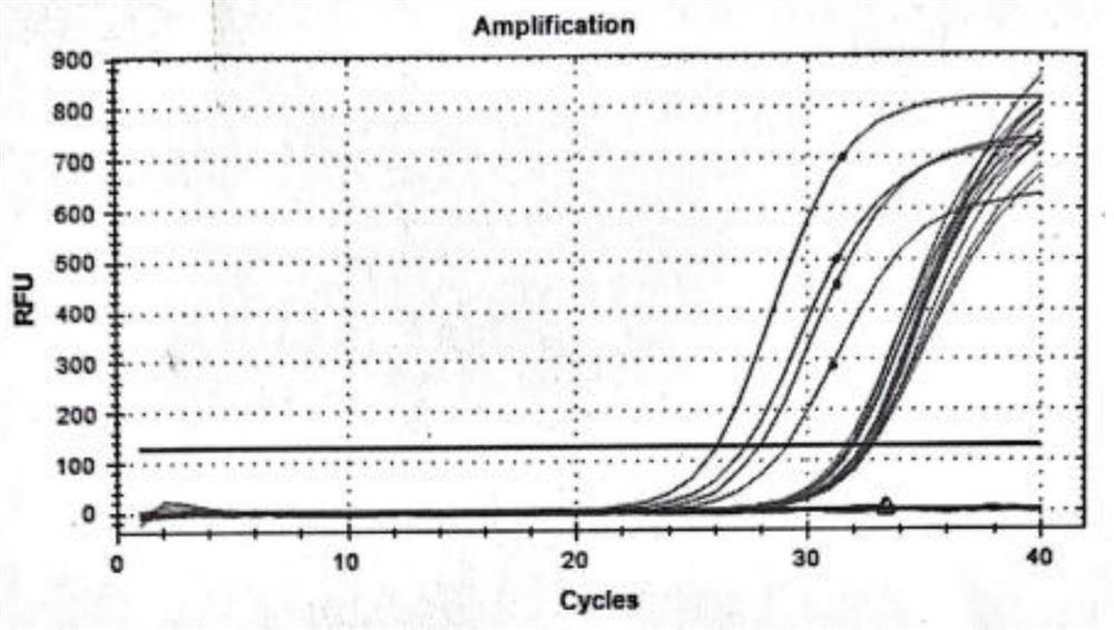 Method for identifying sex of mammal embryo