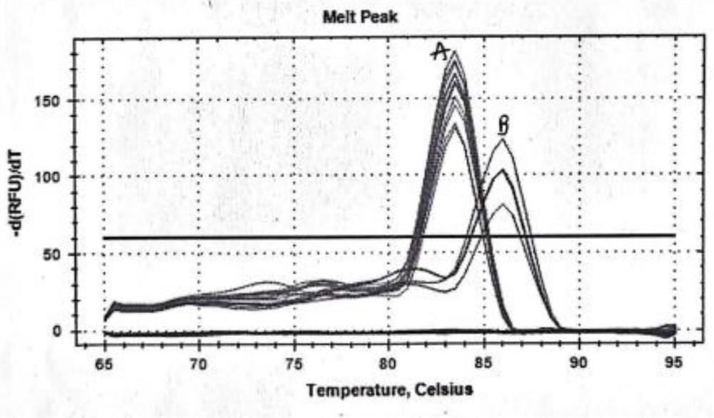 Method for identifying sex of mammal embryo