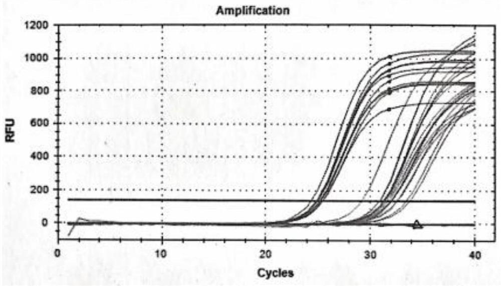 Method for identifying sex of mammal embryo