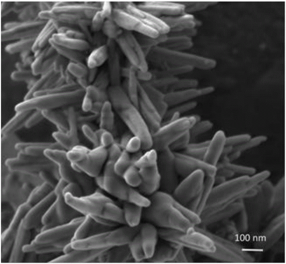 Room temperature water solution growth type stannous selenium nanorod cone monocrystal and method thereof