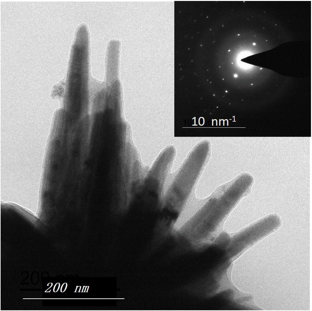 Room temperature water solution growth type stannous selenium nanorod cone monocrystal and method thereof